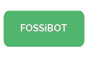 Ремонт телефонов FOSSiBOT